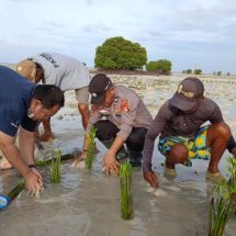 Kapolsubsektor Pulau Pari Tanam 10.000 Pohon Mangrove di Pantai Rengge Pulau Pari