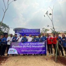 Wujudkan Kepedulian Lingkungan Ancol Tanam Pohon Bersama Pemkot Jakarta Utara