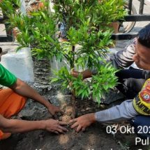 Polsek Kepulauan Seribu Selatan dan Warga Bersatu Tanam Pohon untuk Bersihkan Udara