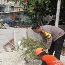 Polsek Kepulauan Seribu Selatan dan Warga Tanam Pohon demi Bersihkan Udara Pulau-Pulau Penduduk