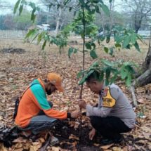 Polsek Kepulauan Seribu Utara Bersama Warga Gencar Tanam Pohon untuk Bersihkan Udara