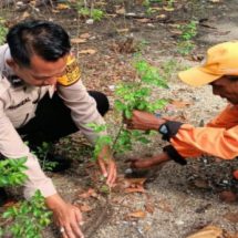 Polsek Kepulauan Seribu Utara dan Warga Bersatu Tanam Pohon, Menjaga Kualitas Udara