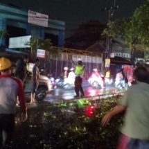 Piket Patroli Polsek Sukmajaya Segera Bertindak di Lokasi Kecelakaan Pohon Tumbang